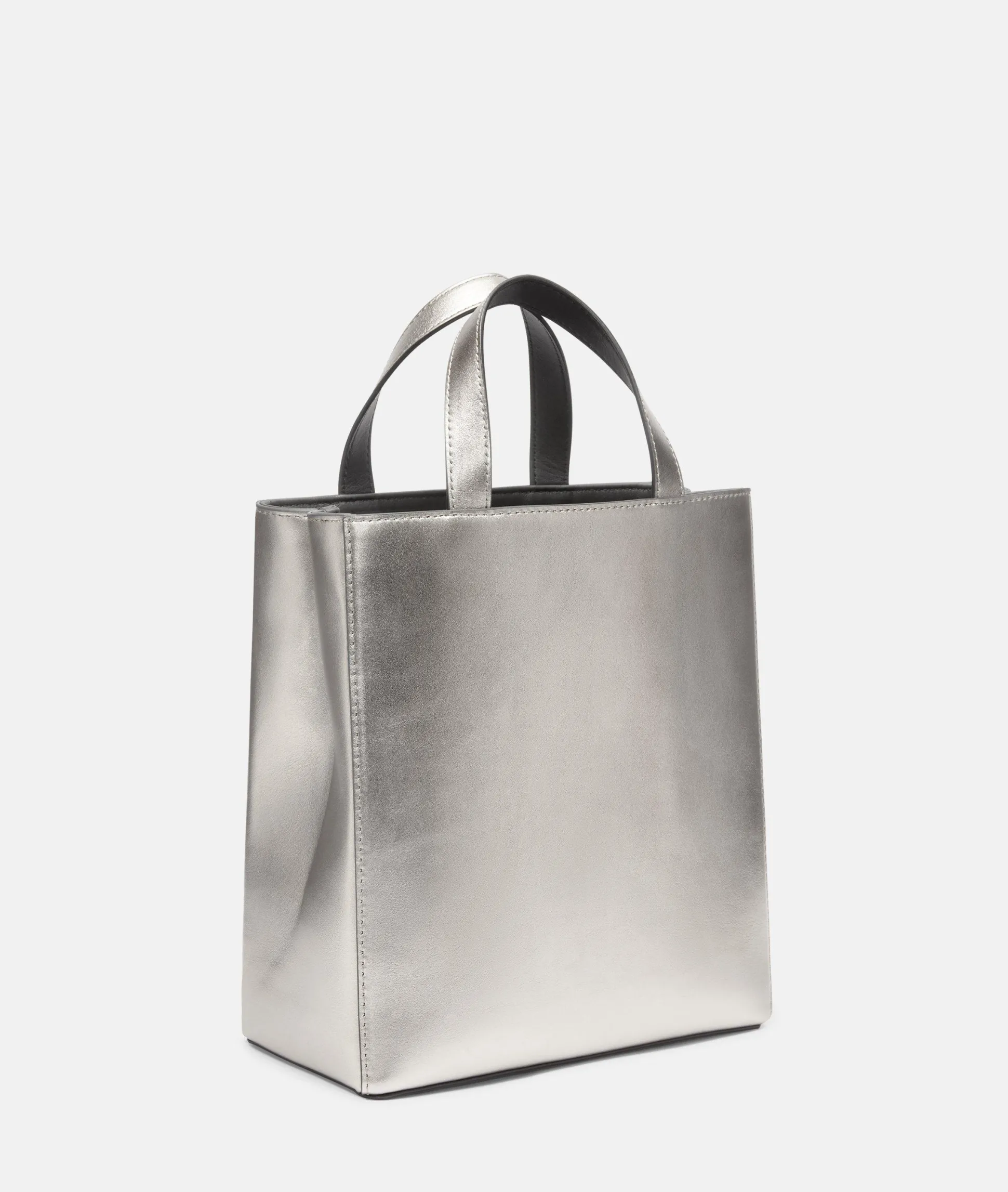 Metallic Paper Bag S